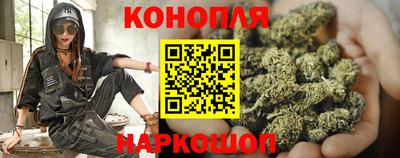 гидра Заволжье