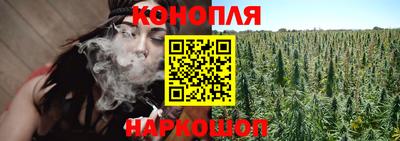 гидра Заволжье