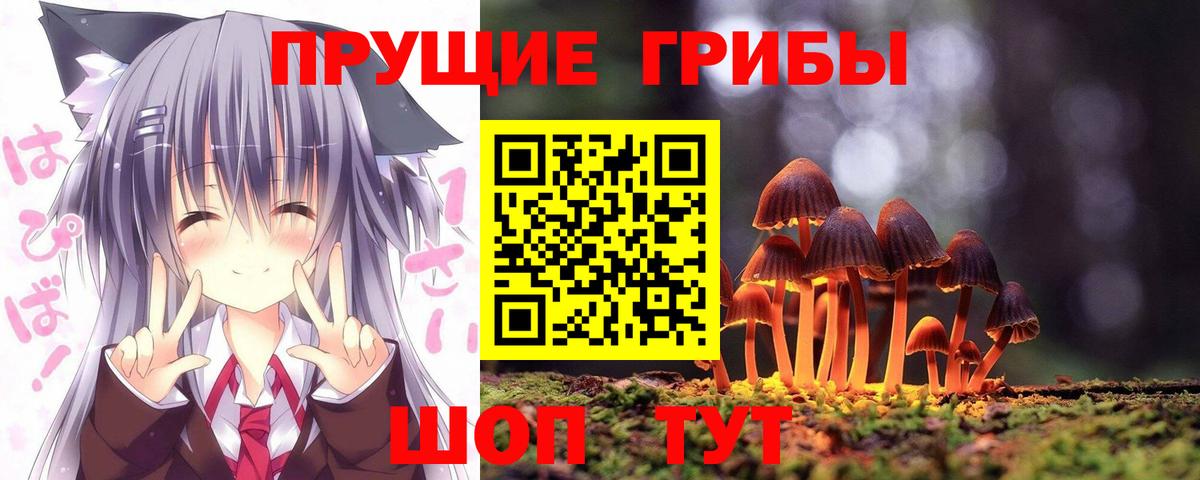 Медногорск  Псилоцибиновые грибы мухоморы  Вход с VPN 